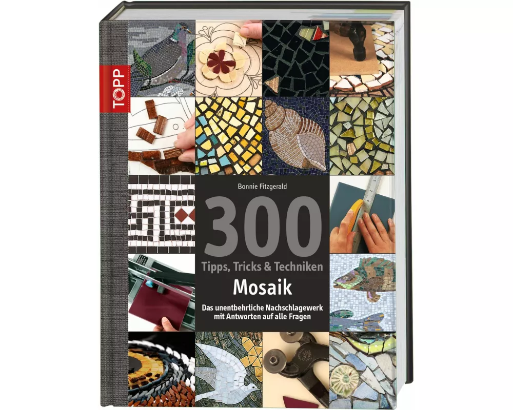300 Tipps, Tricks & Techniken Mosaik