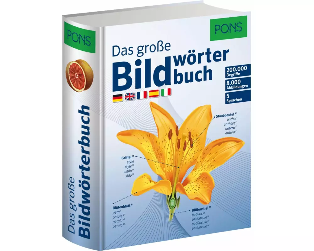 PONS Das große Bildwörterbuch