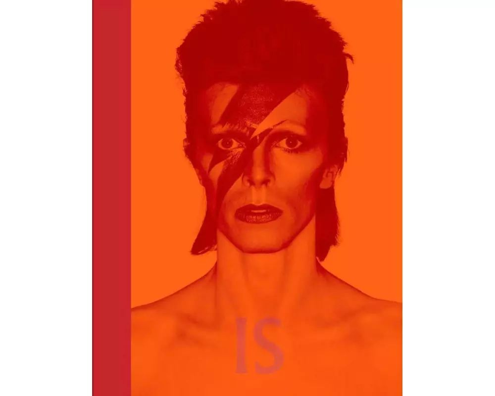 David Bowie Is inside