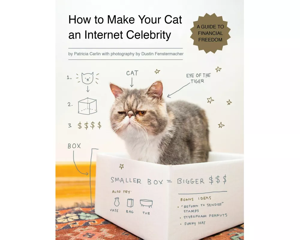 How to Make Your Cat an Internet Celebrity