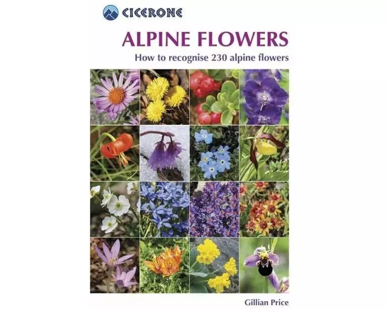 Alpine Flowers