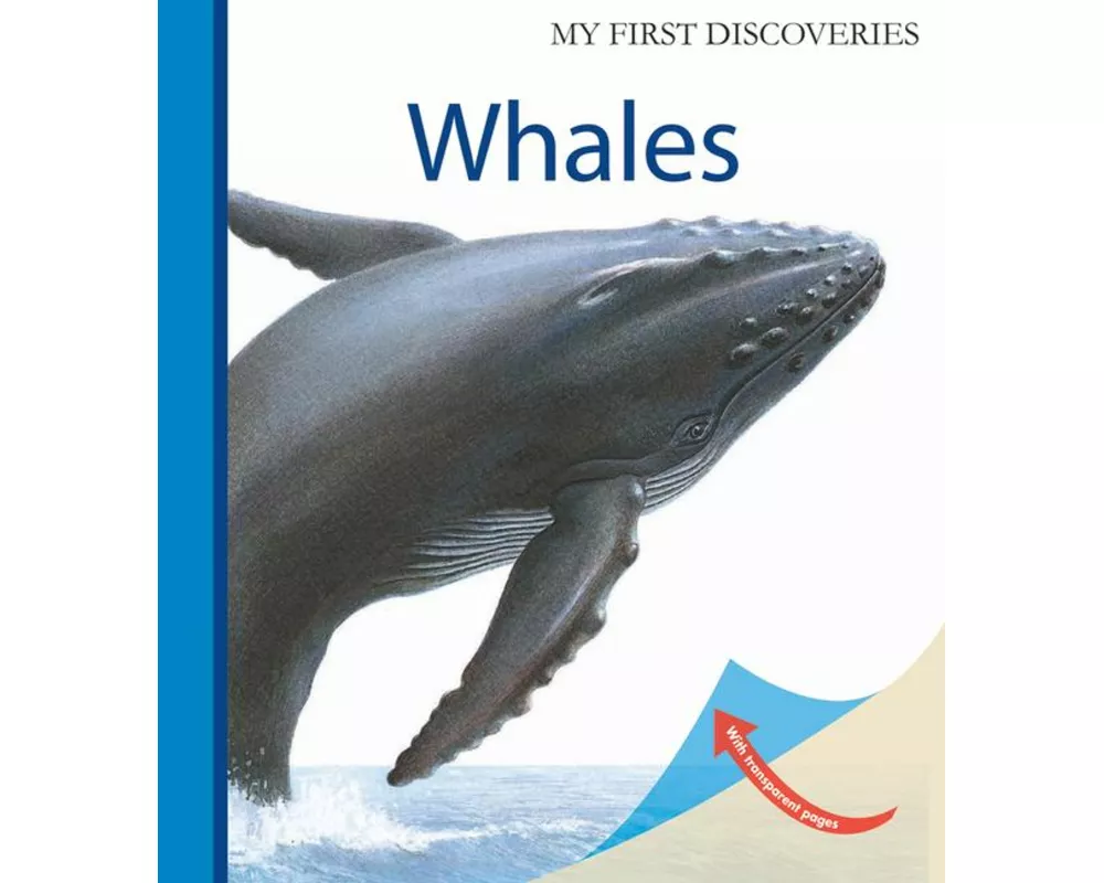 Whales