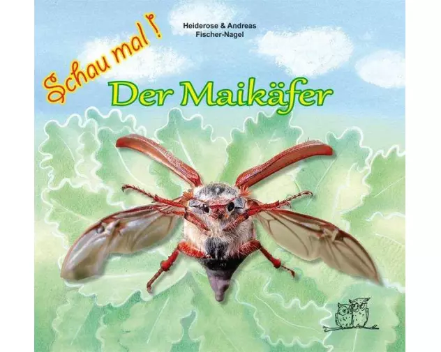 Der Maikäfer