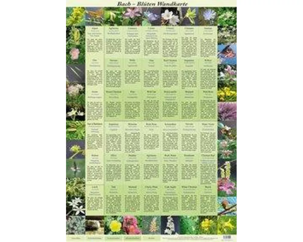 Bach Blüten Wandkarte