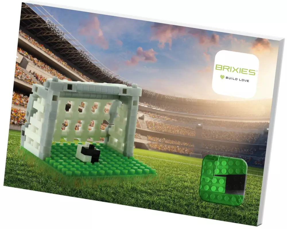 BRIXIES Bausteinmodell Fussball aus 142 Bausteinen