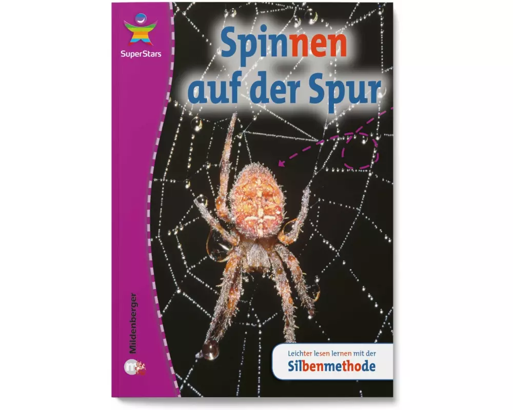 SuperStars - Sachtexte