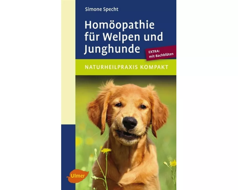 Homöopathie für Welpen und Junghunde