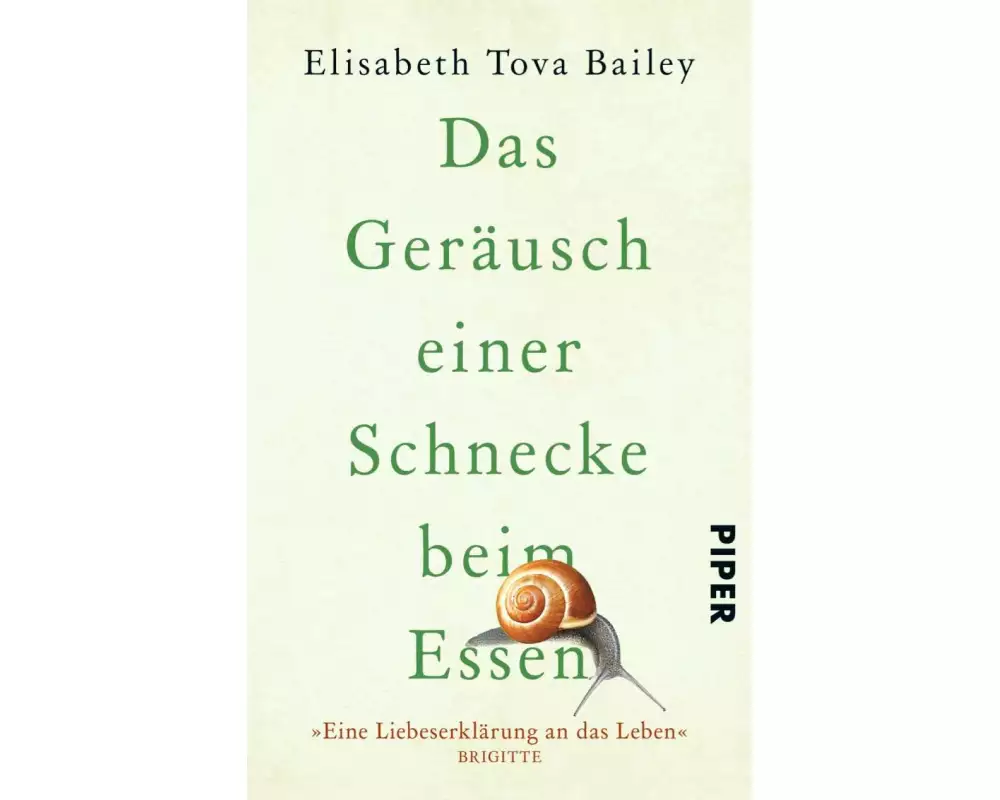 Das Geräusch einer Schnecke beim Essen