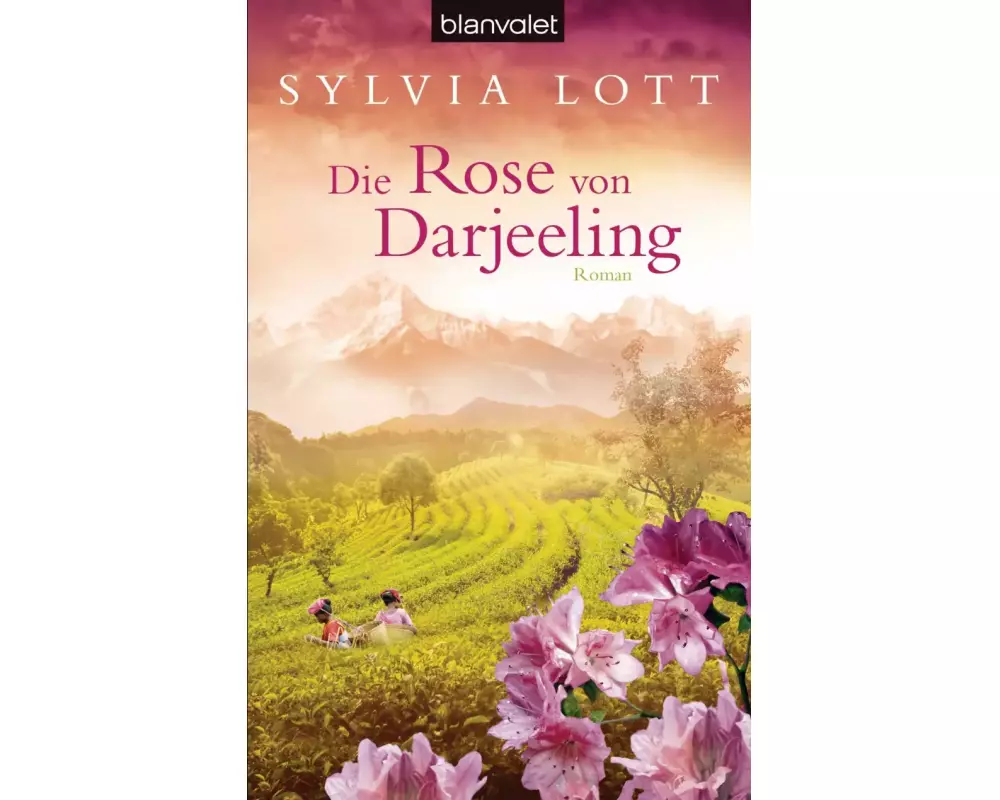 Die Rose von Darjeeling