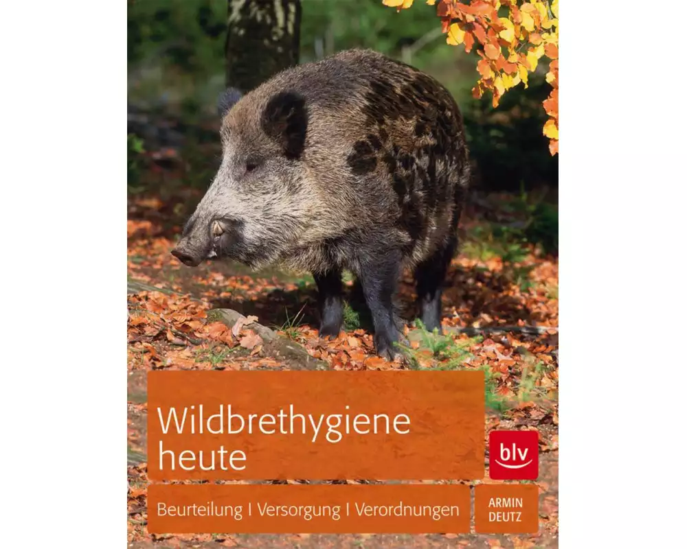 Wildbrethygiene heute