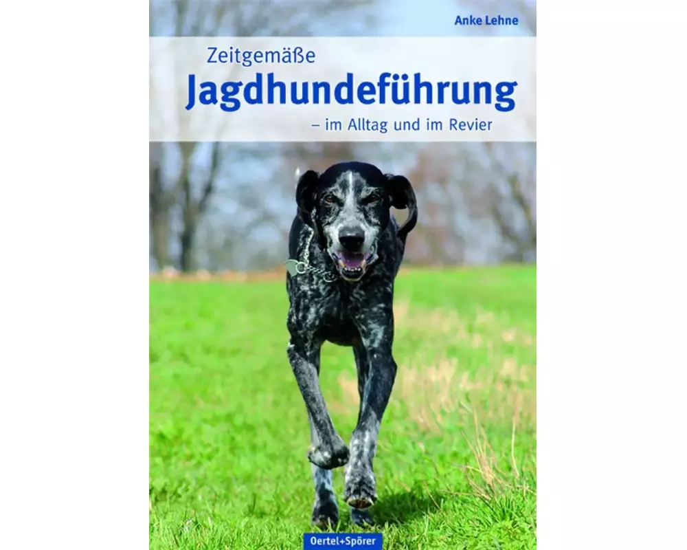Zeitgemäße Jagdhundeführung