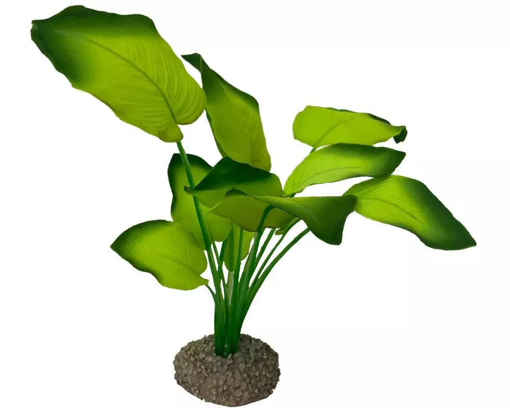 AquaDella Kunstpflanze Anubias 3, 20 cm