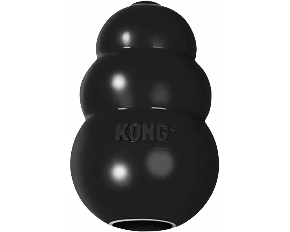 Kong Hunde-Spielzeug Extreme Ø 5 cm, Schwarz
