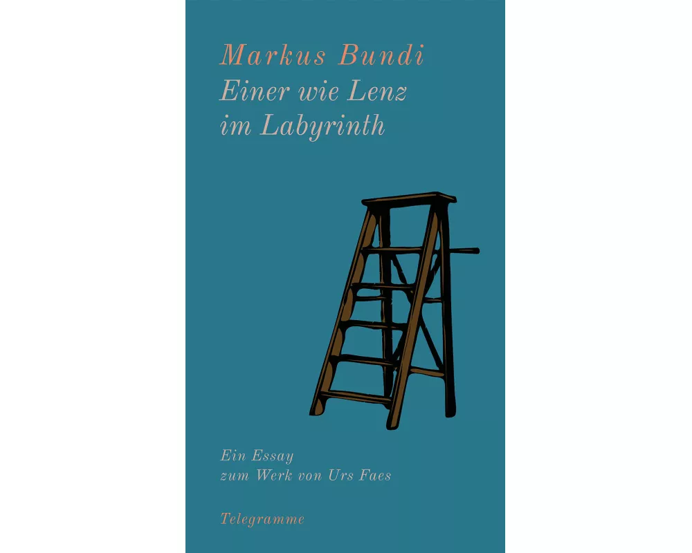 Einer wie Lenz im Labyrinth