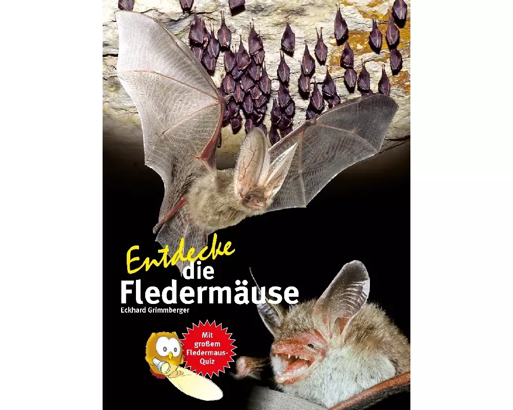 Entdecke die Fledermäuse