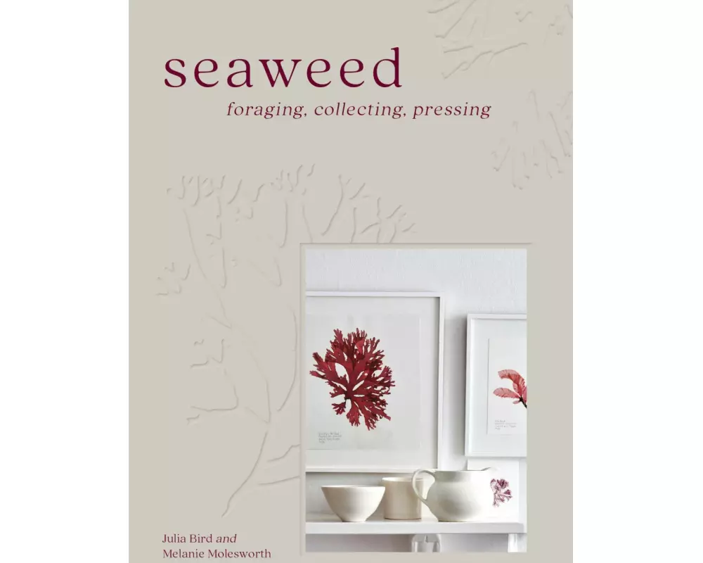 Seaweed