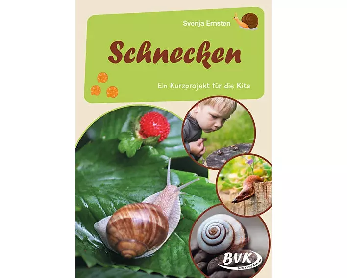 Schnecken