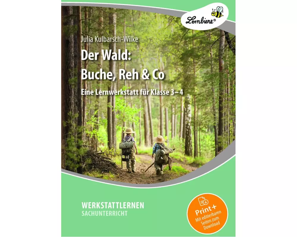 Der Wald: Buche, Reh & Co