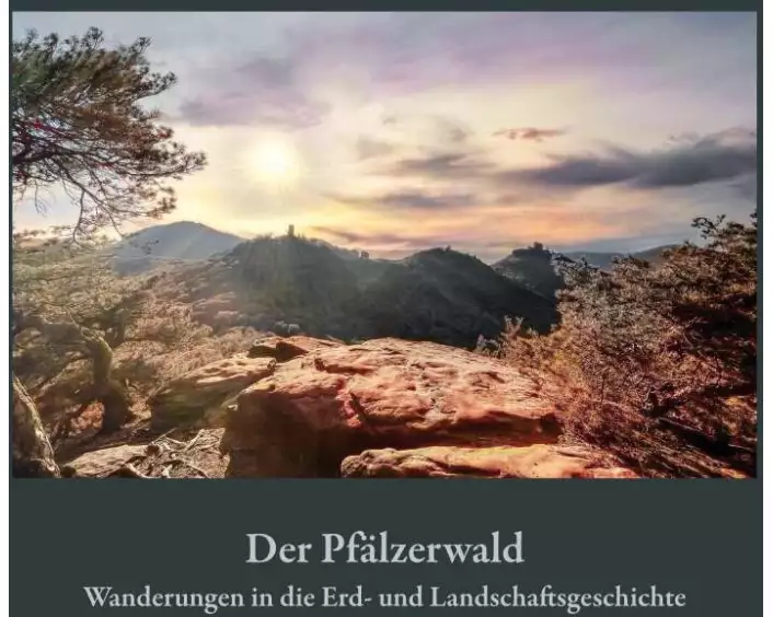 Der Pfälzerwald