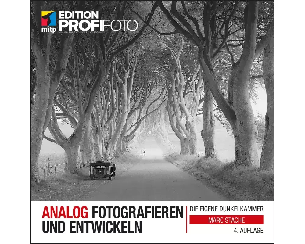 Analog fotografieren und entwickeln