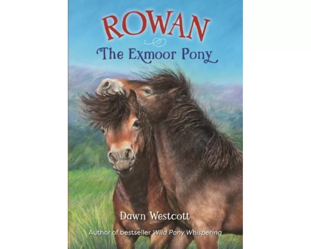 Rowan The Exmoor Pony