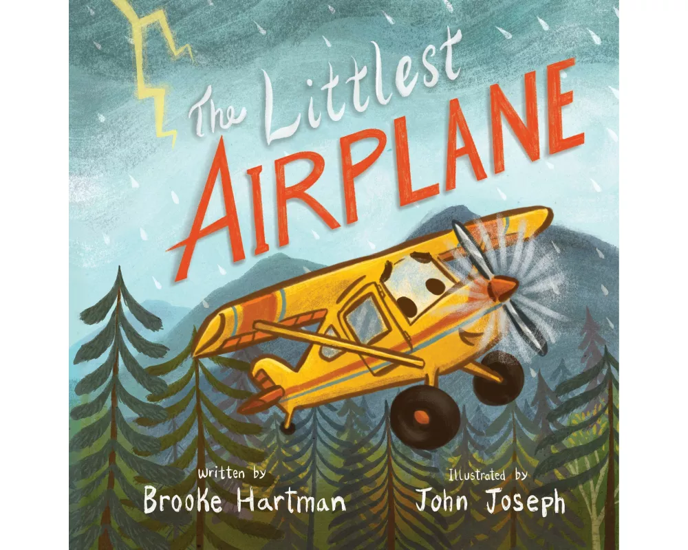The Littlest Airplane