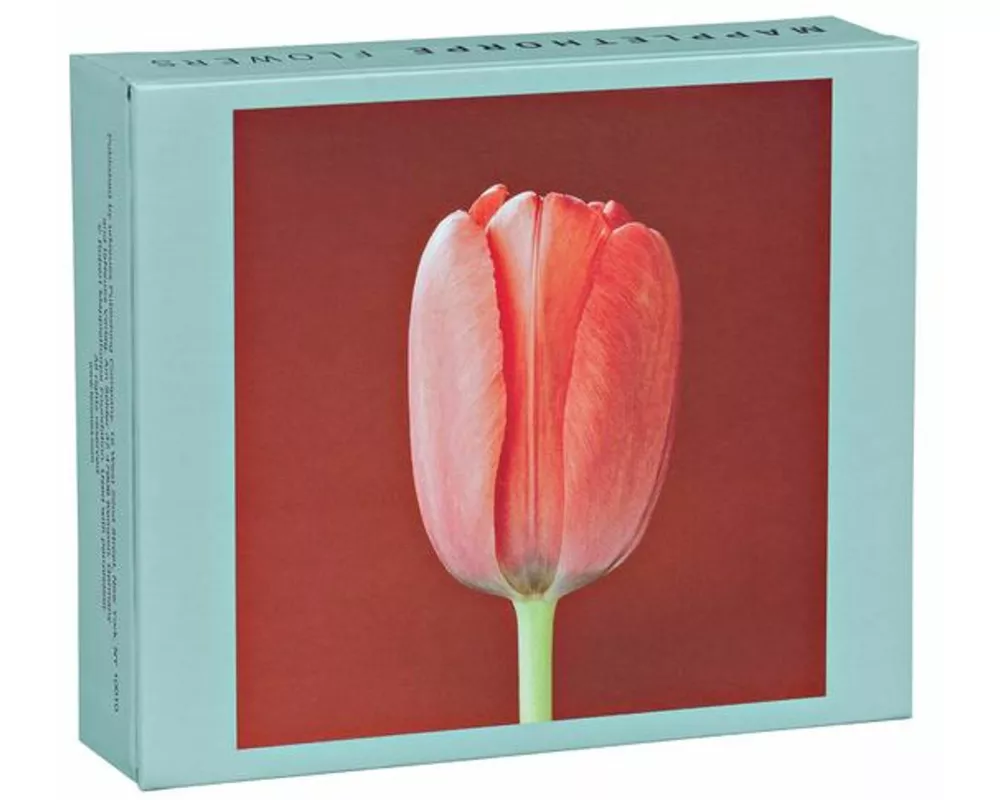 Mapplethorpe Flowers Quicknotes