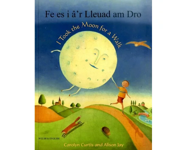 I Took the Moon for a Walk