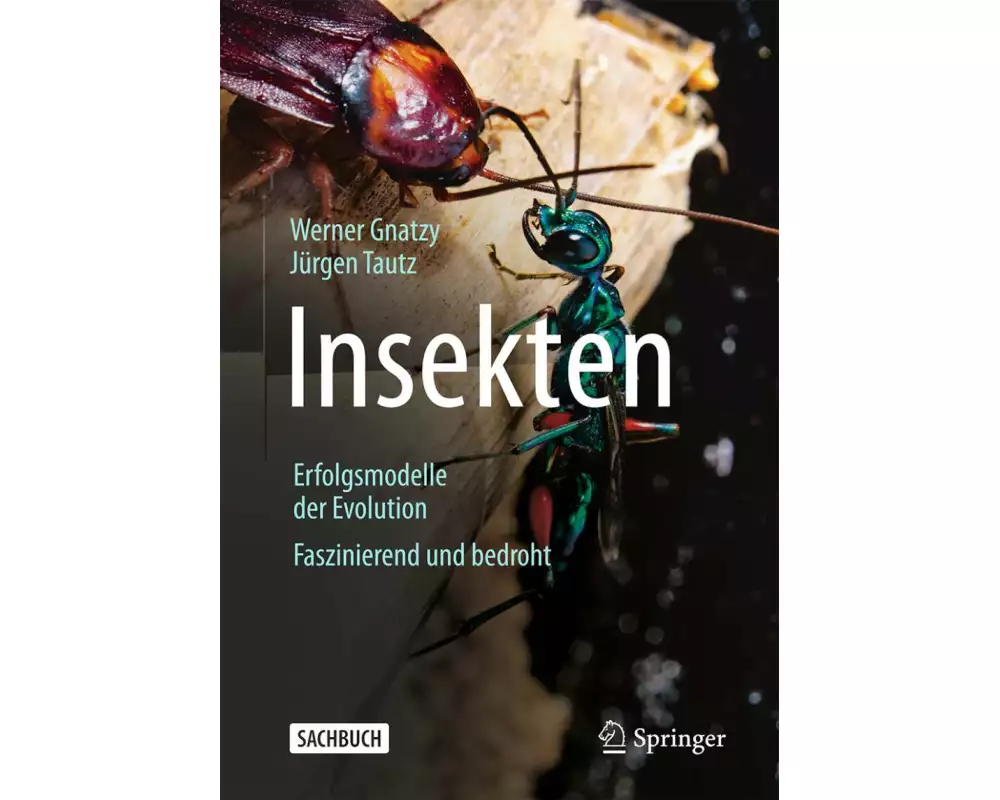 Insekten - Erfolgsmodelle der Evolution
