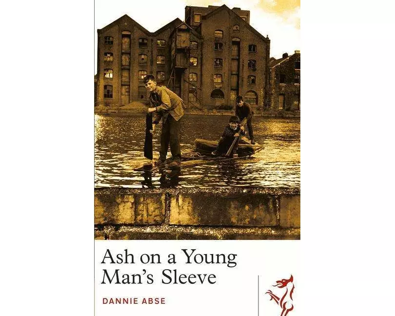 Ash on a Young Man's Sleeve