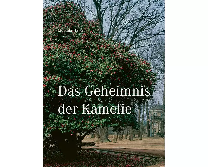 Das Geheimnis der Kamelie