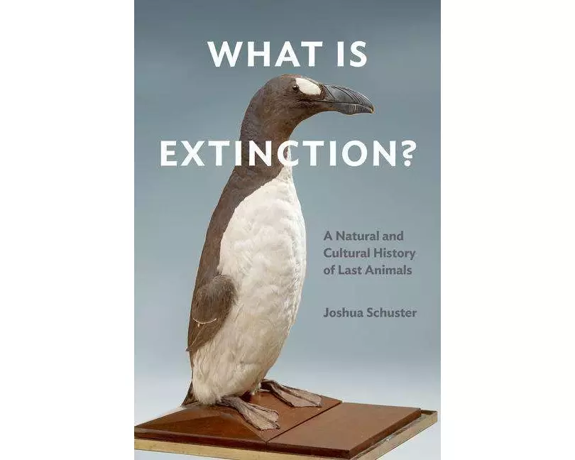 What Is Extinction?