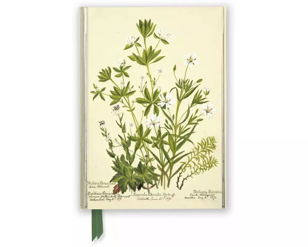 RBGE: Charlotte Cowan Pearson: Stitchworts, Woodruff and Pepperwort (Foiled Journal)