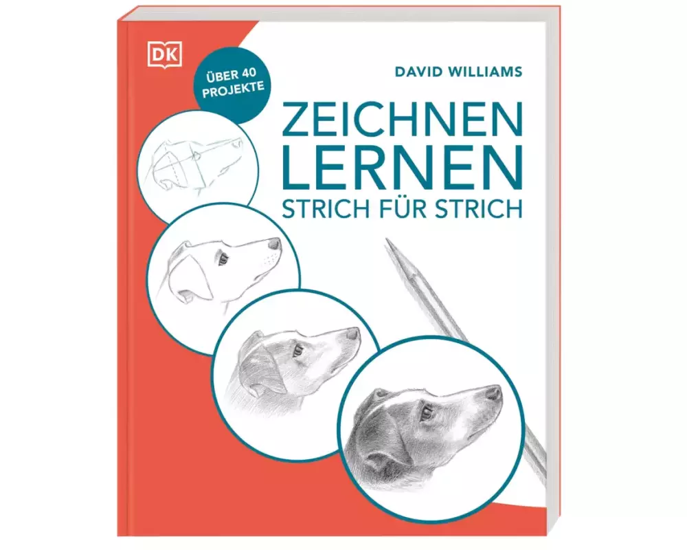 Zeichnen lernen – Strich für Strich