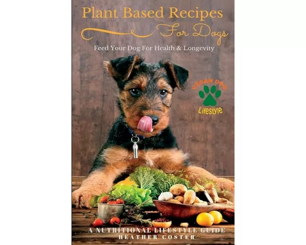 Plant Based Recipes for Dogs