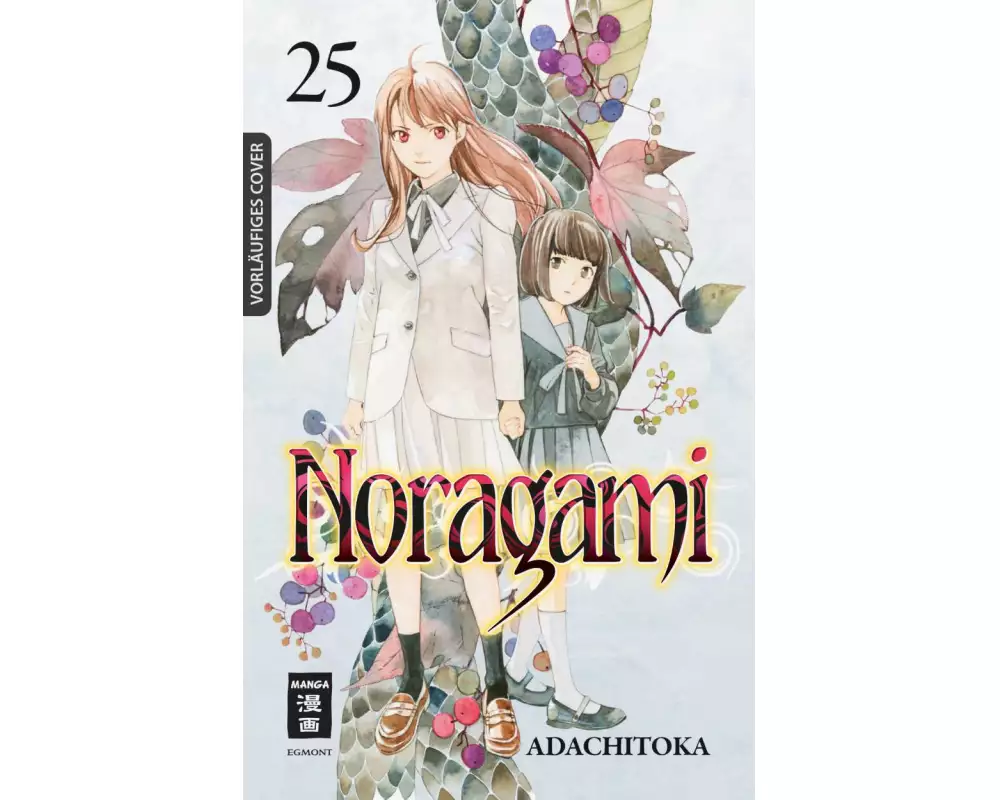 Noragami 25