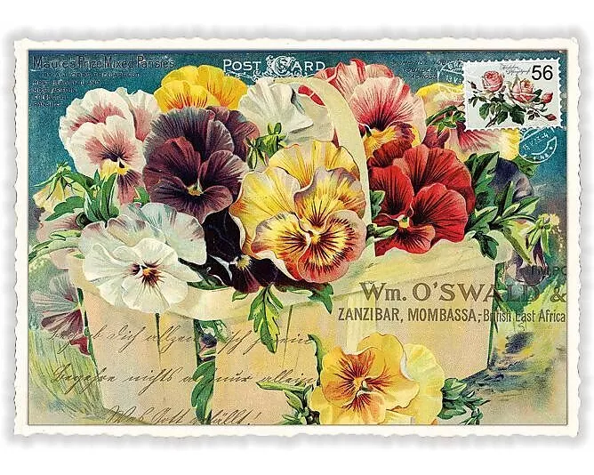 Postkarte / Stiefmütterchen / blanko