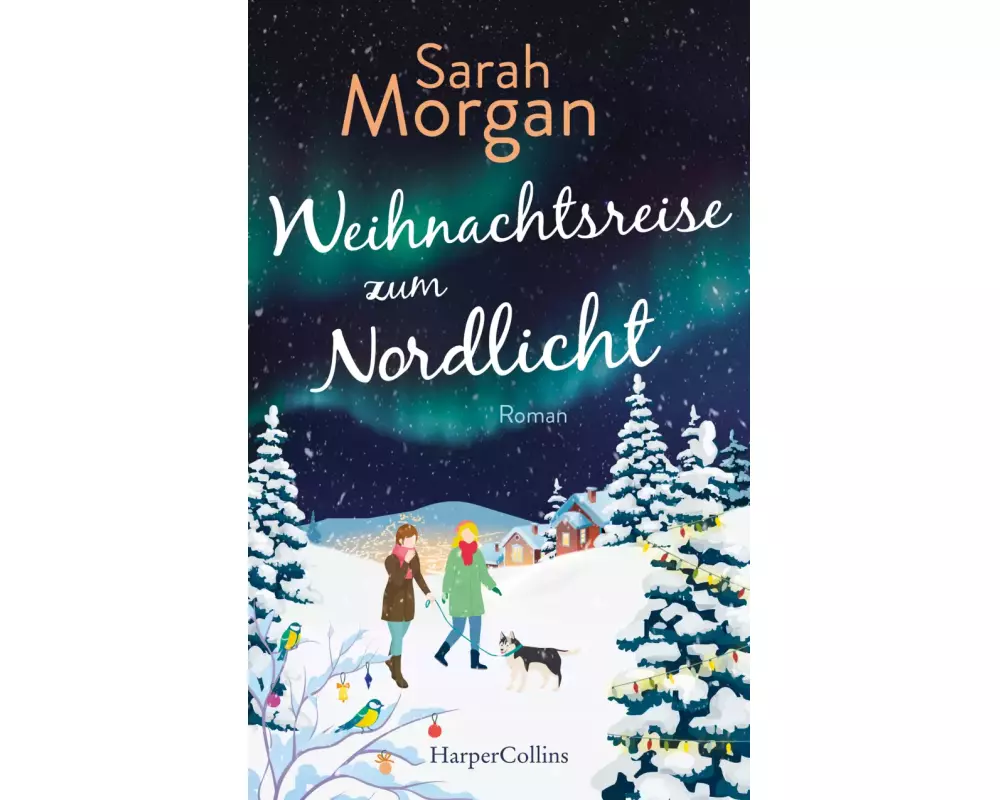 Weihnachtsreise zum Nordlicht