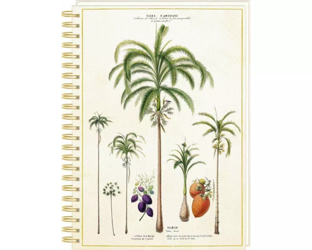 Ringbuch DIN A4 Notizen - Sammlung Augustina