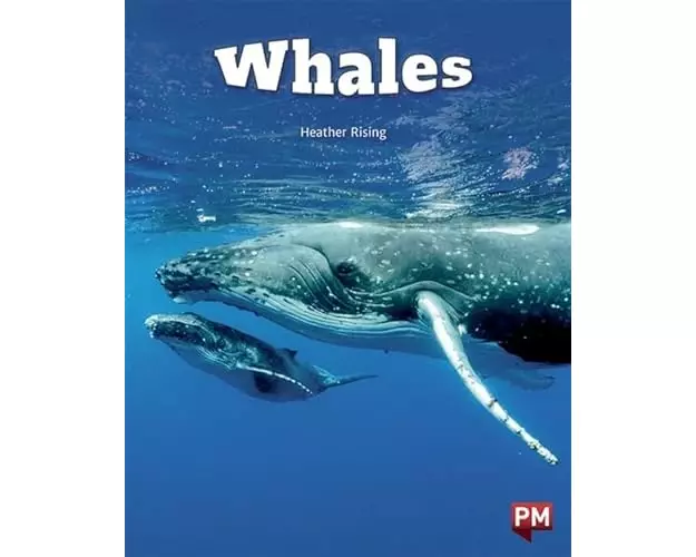 Whales