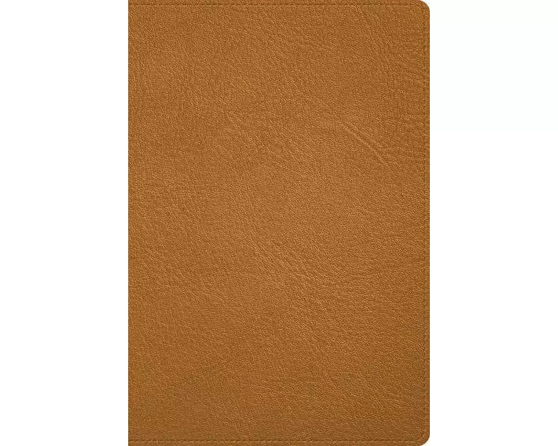 Rvr 1960 Biblia Deluxe Caramelo, Piel Genuina