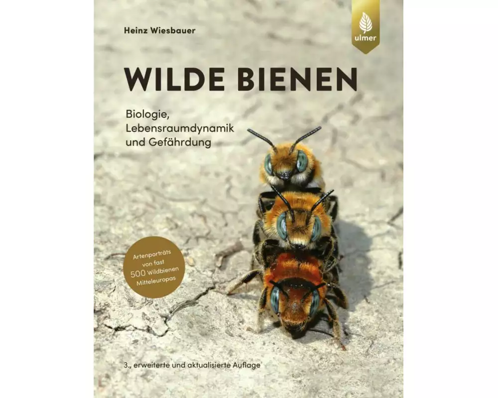 Wilde Bienen