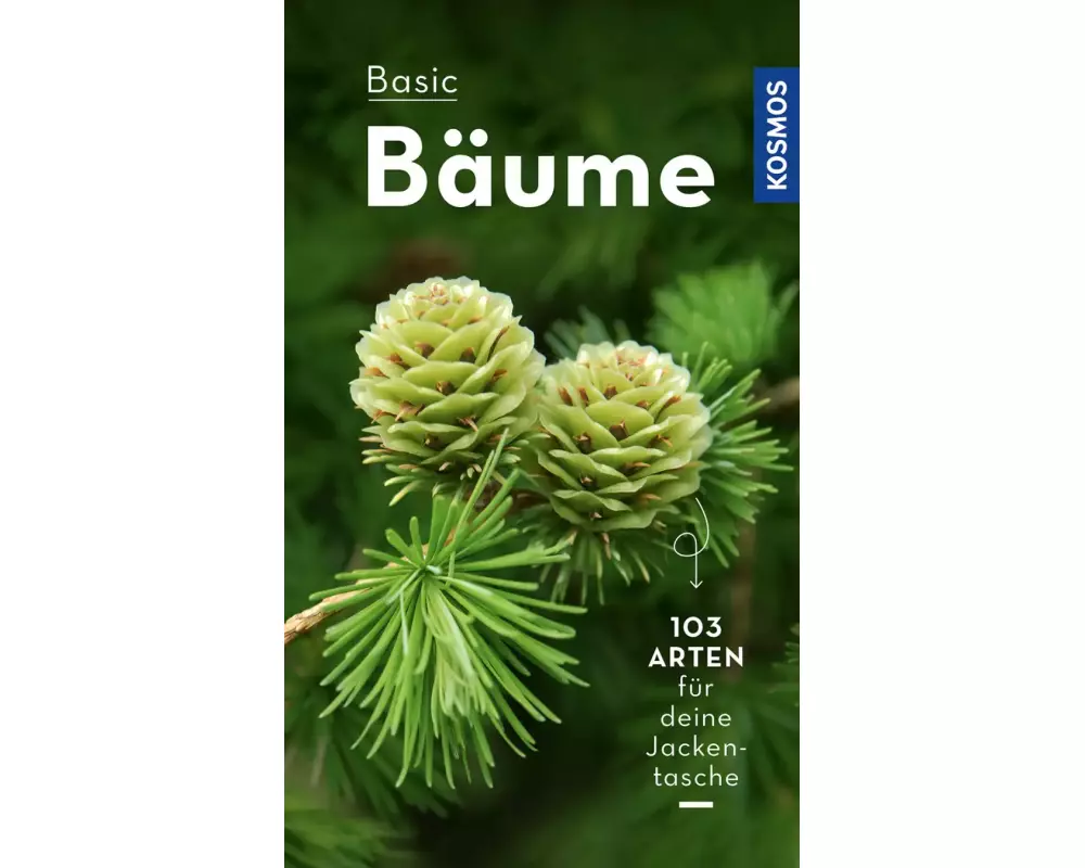 BASIC Bäume