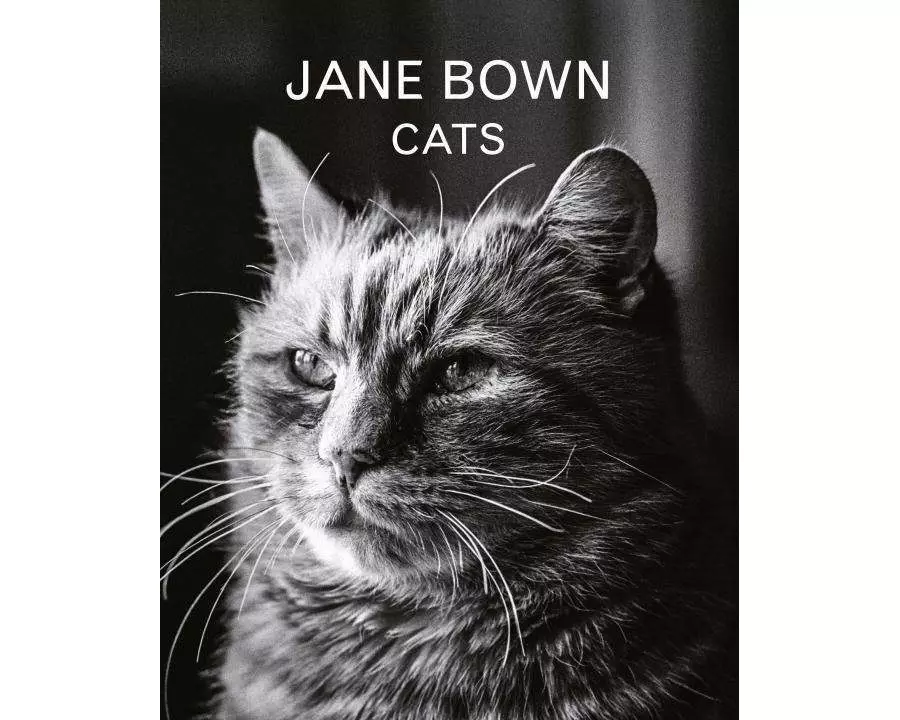 Jane Bown: Cats