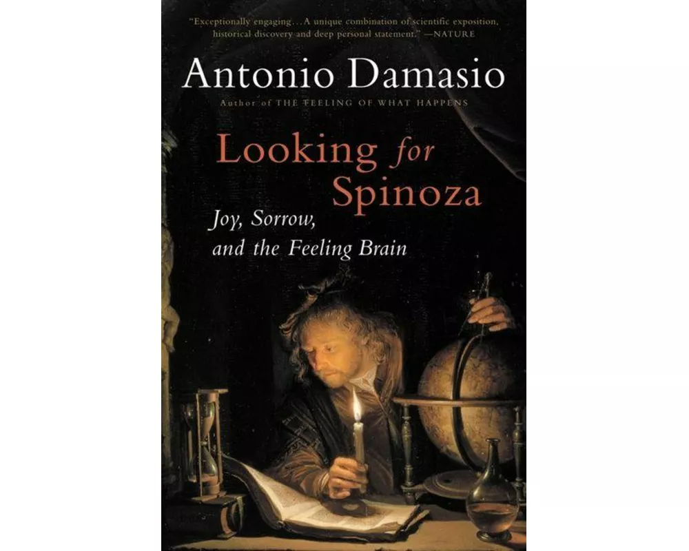 Looking For Spinoza
