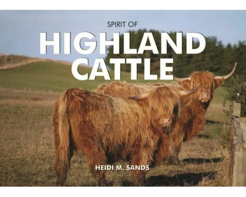 Spirit of Highland Cattle
