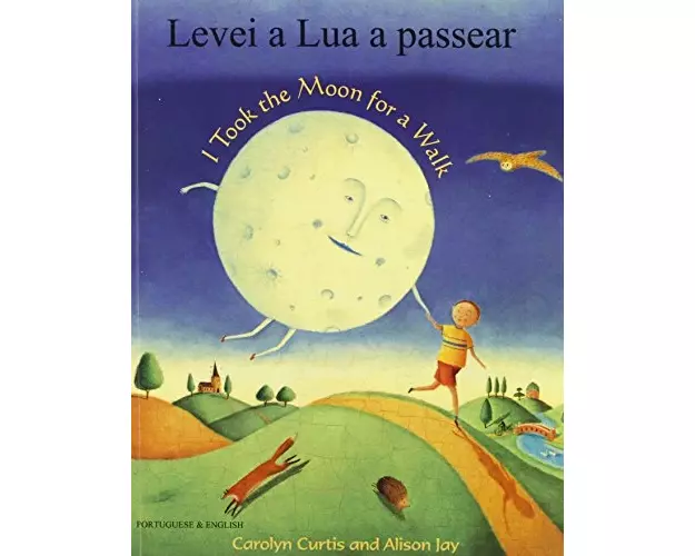 I Took the Moon for a Walk