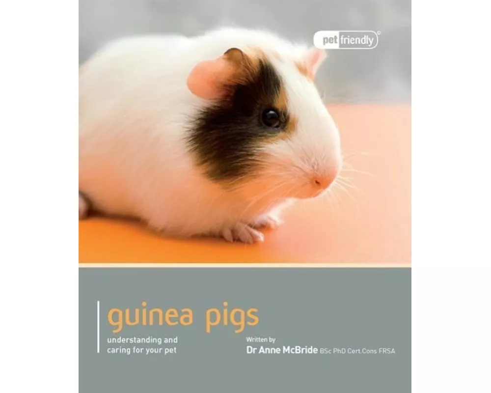 Guinea Pig - Pet Friendly