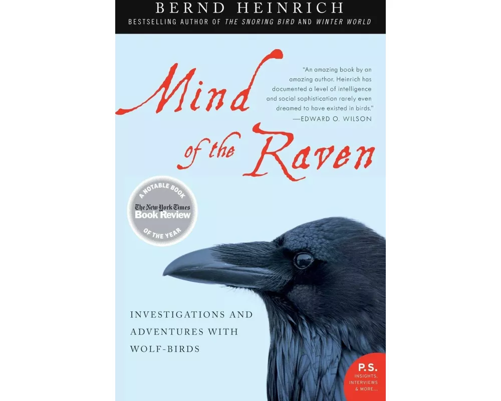 Mind of the Raven