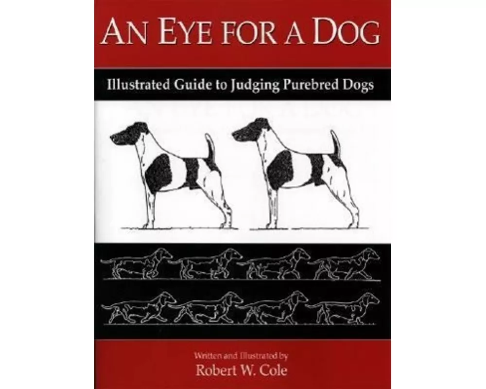 An Eye For A Dog